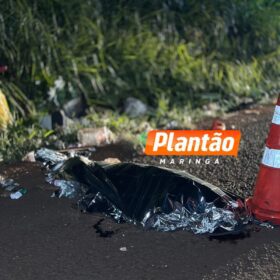 Fotos de Homem em situação de rua morre atropelado na BR-376, em Marialva