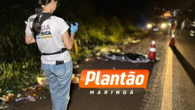 Fotos de Homem em situação de rua morre atropelado na BR-376, em Marialva