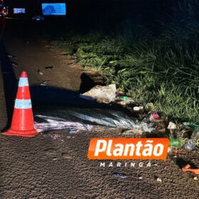 Fotos de Homem em situação de rua morre atropelado na BR-376, em Marialva