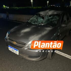 Fotos de Homem morre atropelado ao tentar atravessar a rodovia BR-376