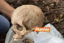 Fotos de Ossada humana é encontrada em área rural entre Mandaguari e Marialva