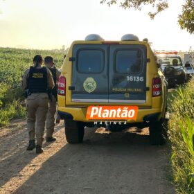 Fotos de Ossada humana é encontrada em área rural entre Mandaguari e Marialva